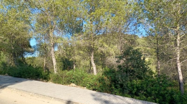 Barcelona - la Gornal - 1287m2