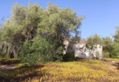 Отдельно стоящий дом с участком на продажу в городе Amposta Фото