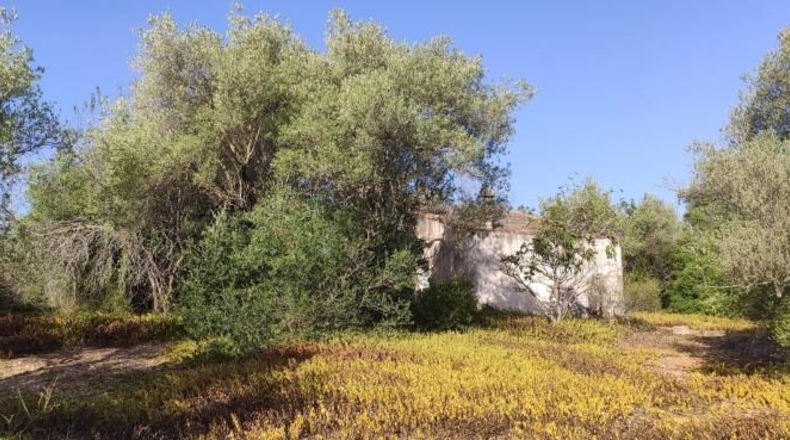 Tarragona - Amposta - 54750m2