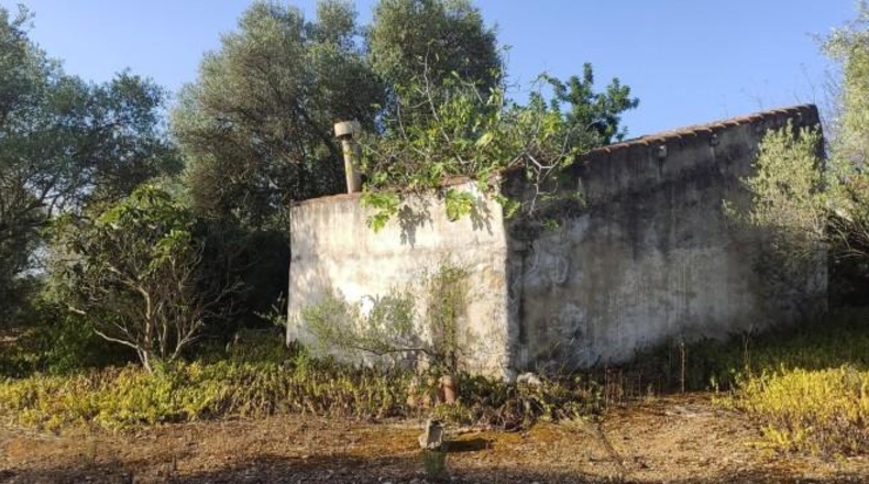 Tarragona - Amposta - 54750m2