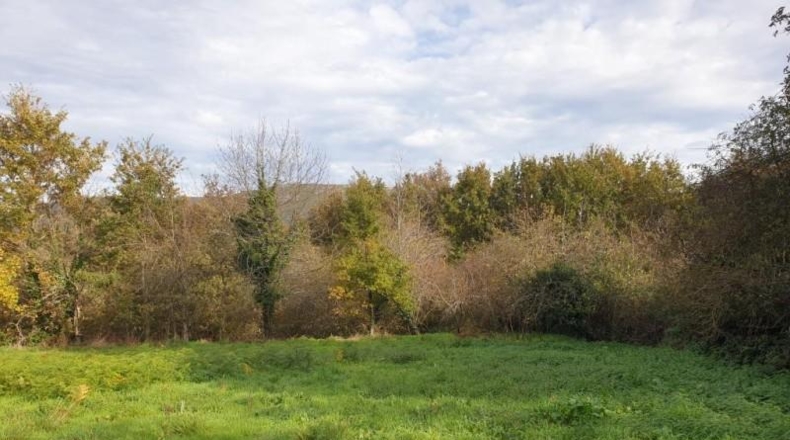 Orense - Maceda - 1500m2