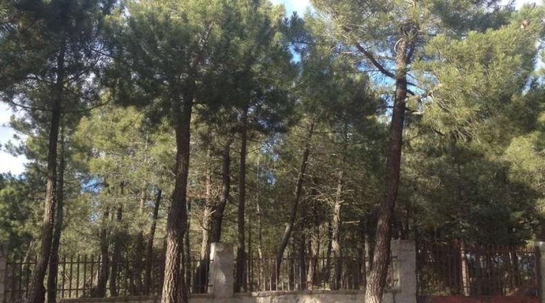 Salamanca - Terradillos - 1000m2