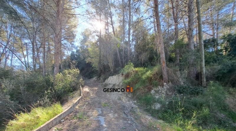 Валенсия - El Genovés - 2096m2