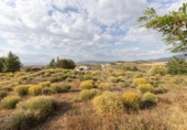 Suelo urbano en venta en la España, Villa de Otura, ref: TR410764 foto