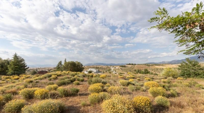 Granada - Villa de Otura - 500m2