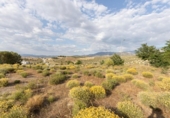 Suelo urbano en venta en la España, Villa de Otura, ref: TR410764 foto