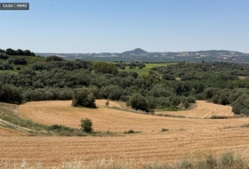 Barbastro 17900&nbsp;m²