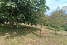 Pola de Siero 988&nbsp;m²