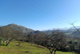 Pola de Siero 988&nbsp;m²