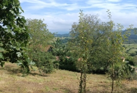 Pola de Siero 988&nbsp;m²