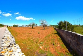 Santa Margalida 8325&nbsp;m²