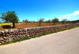 Santa Margalida 8325&nbsp;m²