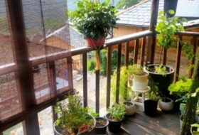 Foto 15