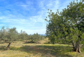 el Perelló 19535&nbsp;m²