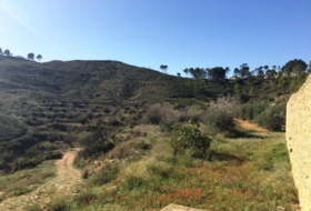 Azuara 25470&nbsp;m²