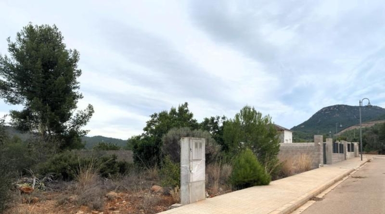 Castellón - San Juan de Moró - 393m2