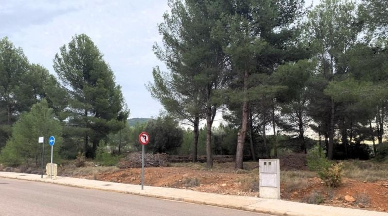 Castellón - San Juan de Moró - 393m2