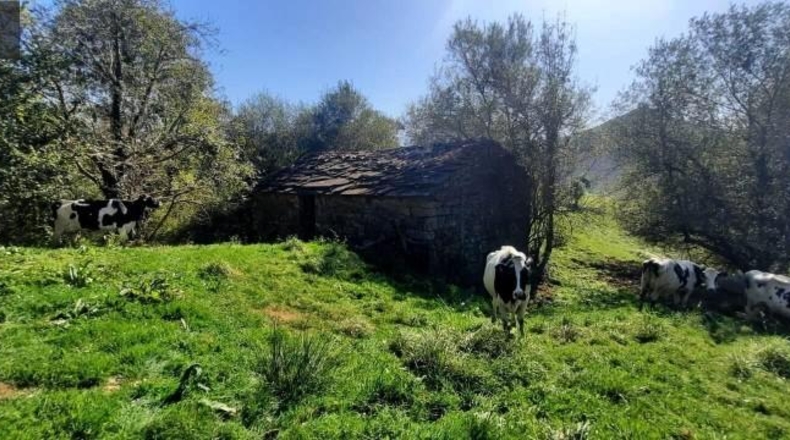 Cantabria - Miera - 21000m2