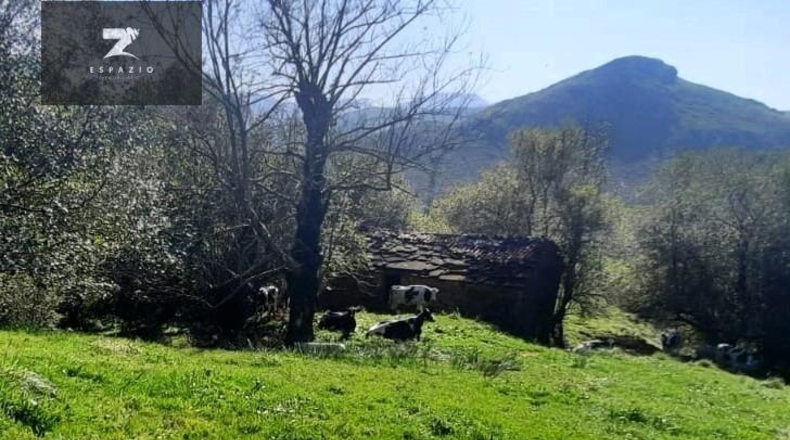 Cantabria - Miera - 21000m2