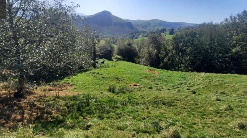 Cantabria - Miera - 21000m2