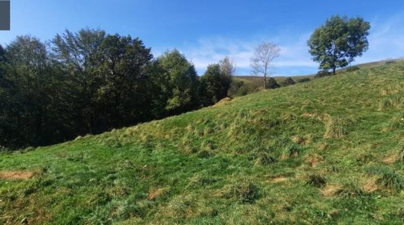 Cantabria - Miera - 21000m2