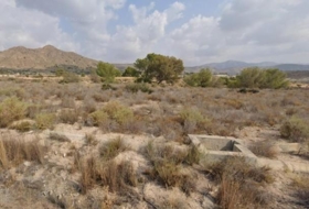 Abanilla 2500&nbsp;m²