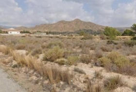 Abanilla 2500&nbsp;m²