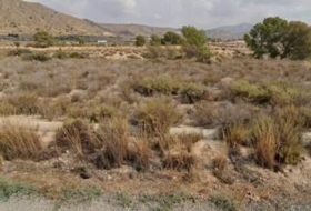 Abanilla 2500&nbsp;m²