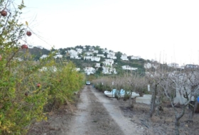 Foto 16