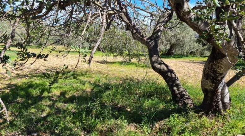 Tarragona - la Ràpita - 28159m2