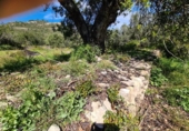 Terreno no urbanizable en venta en la España, la Ràpita, ref: TR402888 foto