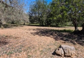 Terreno no urbanizable en venta en la España, la Ràpita, ref: TR402888 foto