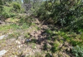 Terreno no urbanizable en venta en la España, la Ràpita, ref: TR402888 foto