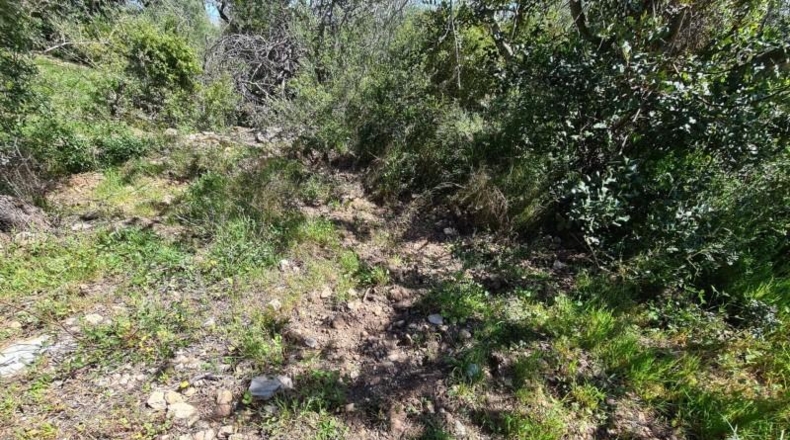 Tarragona - la Ràpita - 28159m2