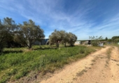 Terreno no urbanizable en venta en la España, Villamanrique de la Condesa, ref: TR406929 foto