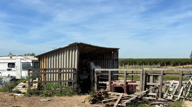 Sevilla - Villamanrique de la Condesa - 5000m2