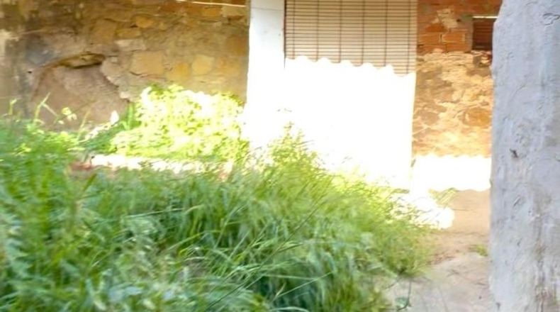 Alicante - Bigastro - 269m2