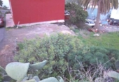 Suelo urbano en venta en la España, Telde, ref: TR313084 foto