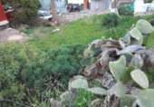 Suelo urbano en venta en la España, Telde, ref: TR313084 foto