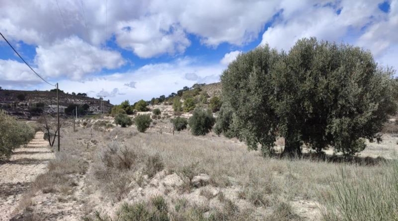 Alicante - Petrer - 58m2