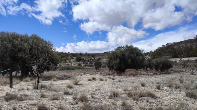 Alicante - Petrer - 58m2