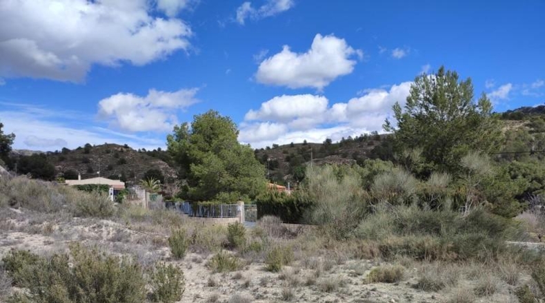 Alicante - Petrer - 58m2