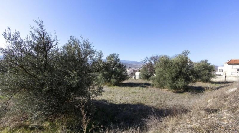 Granada - Padul - 1343m2