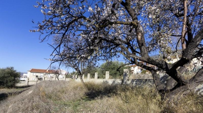 Granada - Padul - 1343m2