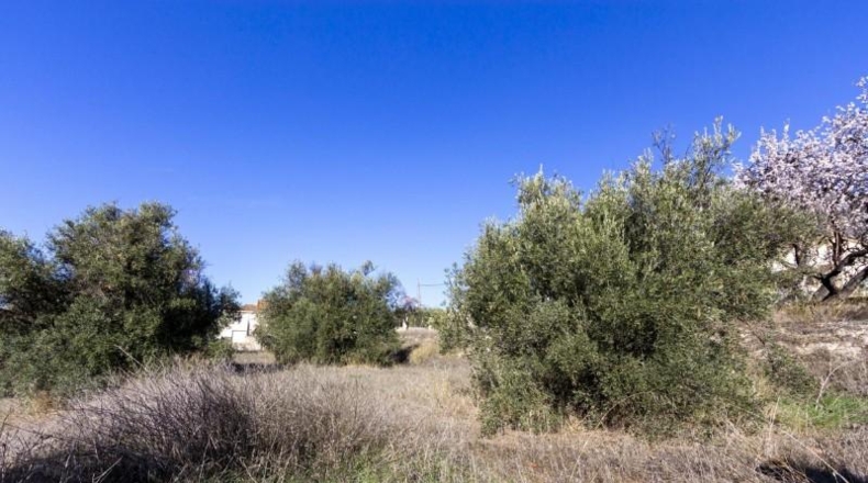 Granada - Padul - 1343m2