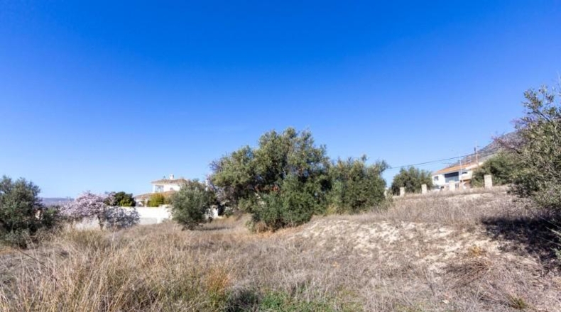 Granada - Padul - 1343m2