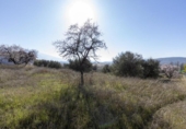 Parcela urbanizable en venta en la España, Padul, ref: TR240915 foto