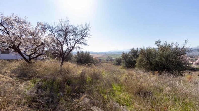 Granada - Padul - 1343m2