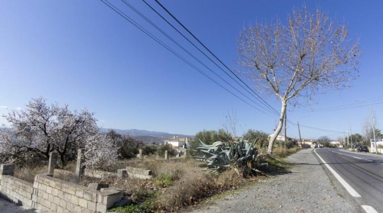 Granada - Padul - 1343m2