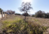 Parcela urbanizable en venta en la España, Padul, ref: TR240915 foto
